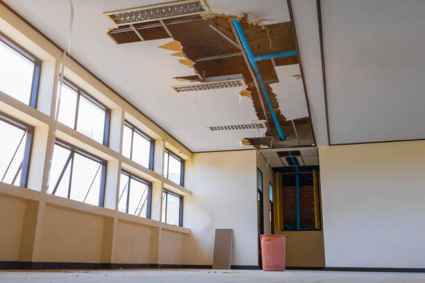 Best Flood restoration services  in Lincoln, AL