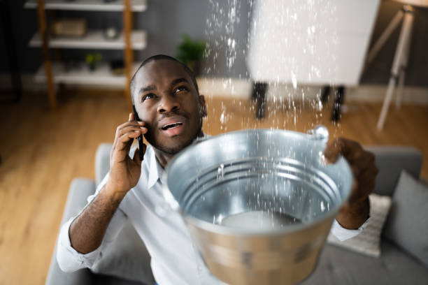 Best Commercial water damage restoration  in Lincoln, AL