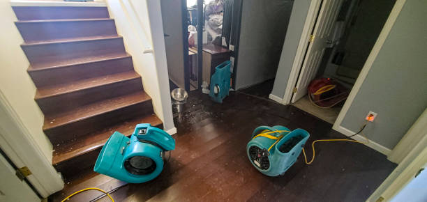 Best Water damage restoration near me  in Lincoln, AL