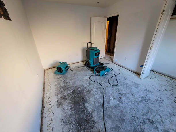 Best 24-hour water damage restoration  in Lincoln, AL