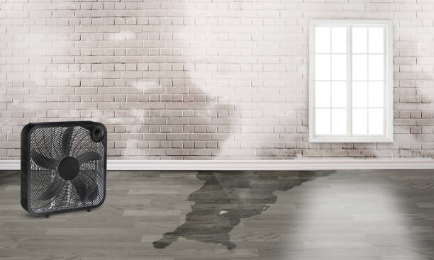 Best Emergency water damage restoration  in Lincoln, AL