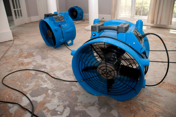 Best Residential water damage restoration  in Lincoln, AL