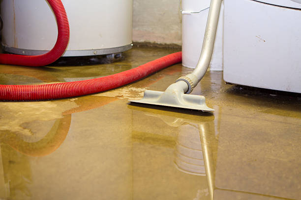 Best Fire Damage Restoration  in Lincoln, AL